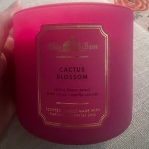 Cactus Blossom 3 Wick Candle
